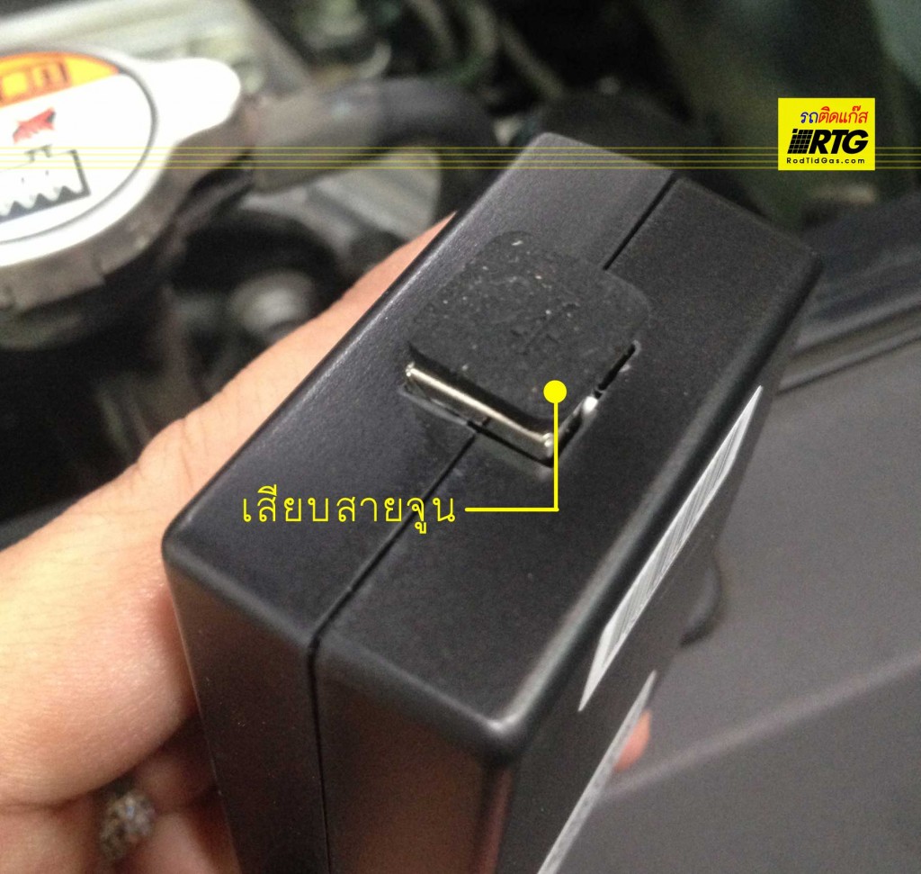 Stag Tuning_IMG_5236_Mod